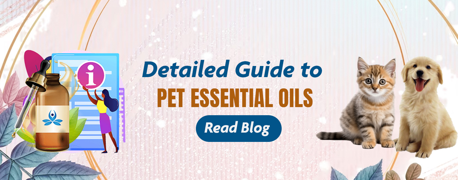 https://stratus.campaign-image.in/images/120581000003767004_zc_v1_1705060473563_detailed_guide_to_pet_essential_oils.jpg