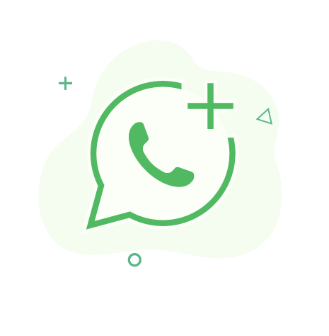 WhatsApp Business Accounts