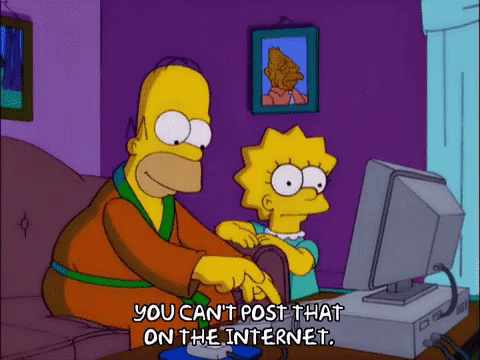 https://media.tenor.com/U8N8jyLyC5oAAAAC/the-simpsons-you-cant-post-that-on-the-internet.gif